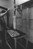 foto 6.gif (43124 byte)